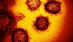 Coronavirus:primi 6 contagi in Lombardia