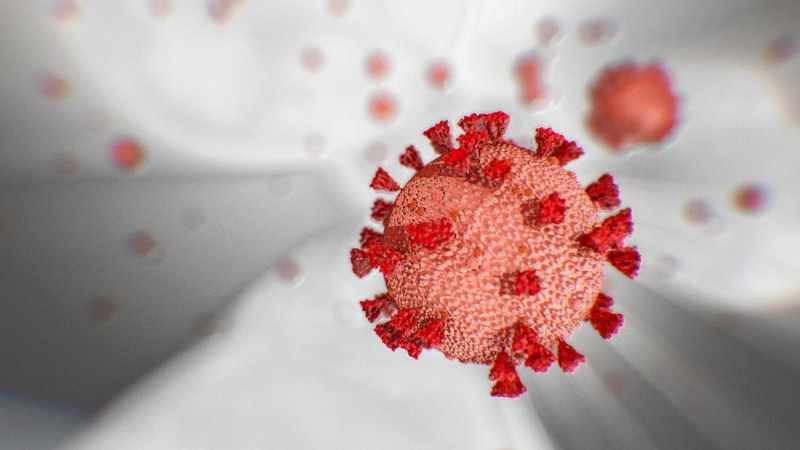 Coronavirus, il bollettino nazionale di oggi 15 novembre 2020: 33.979 nuovi contagiati e 546 decessi