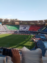 La pagella di Napoli-Fiorentina